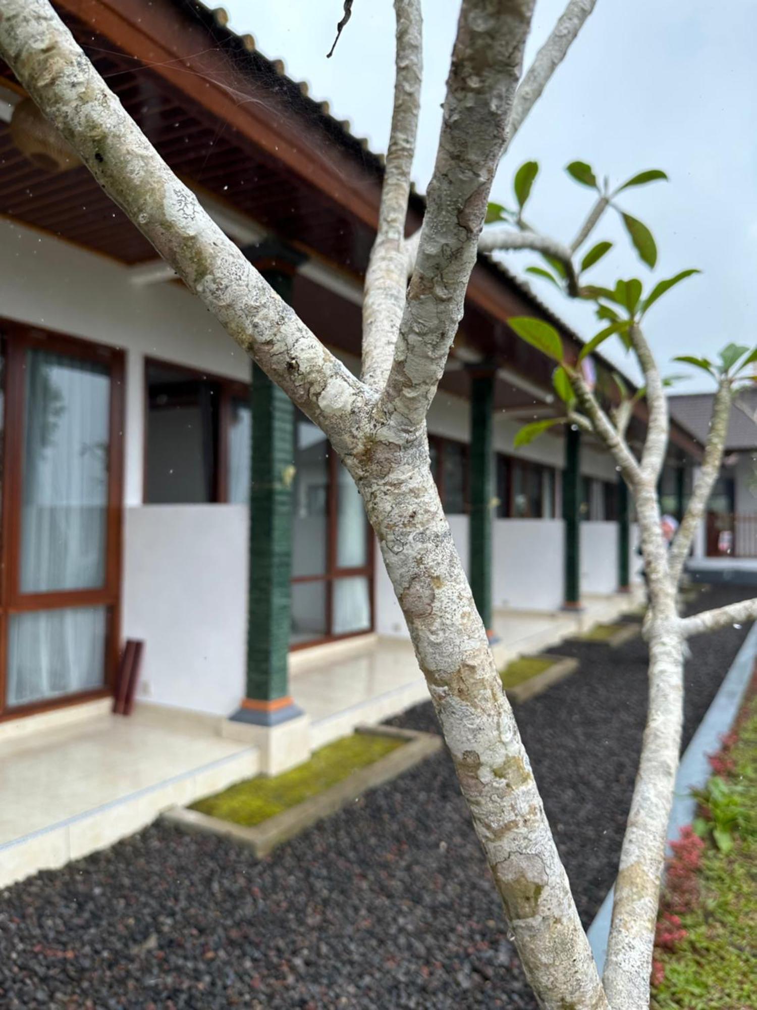 Bali Basuki Retreat Center Apartment Besakih ภายนอก รูปภาพ