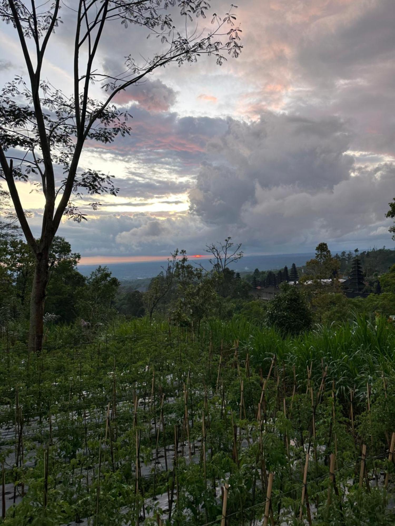 Bali Basuki Retreat Center Apartment Besakih ภายนอก รูปภาพ